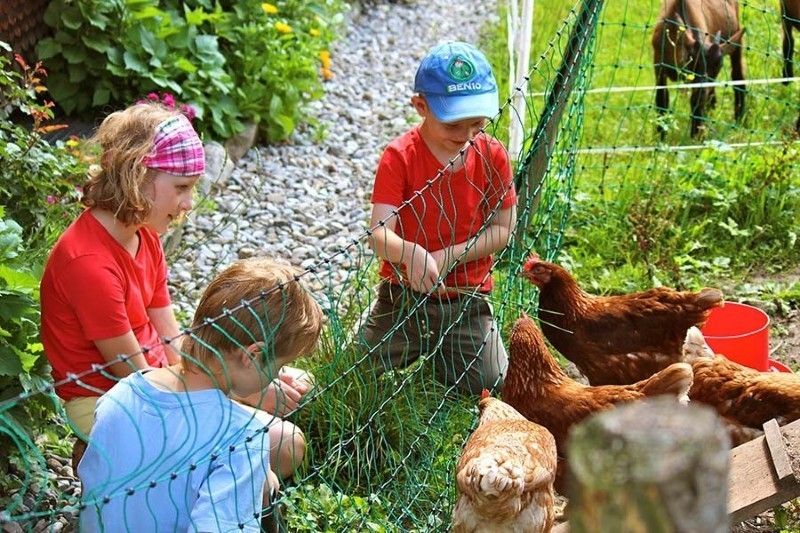 Kinder auf dem Bauernhof in Schoppernau
