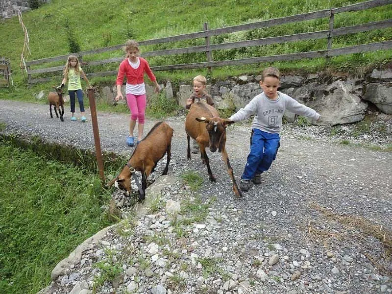 Urlaub am Bauernhof mit Kindern in Schoppernau