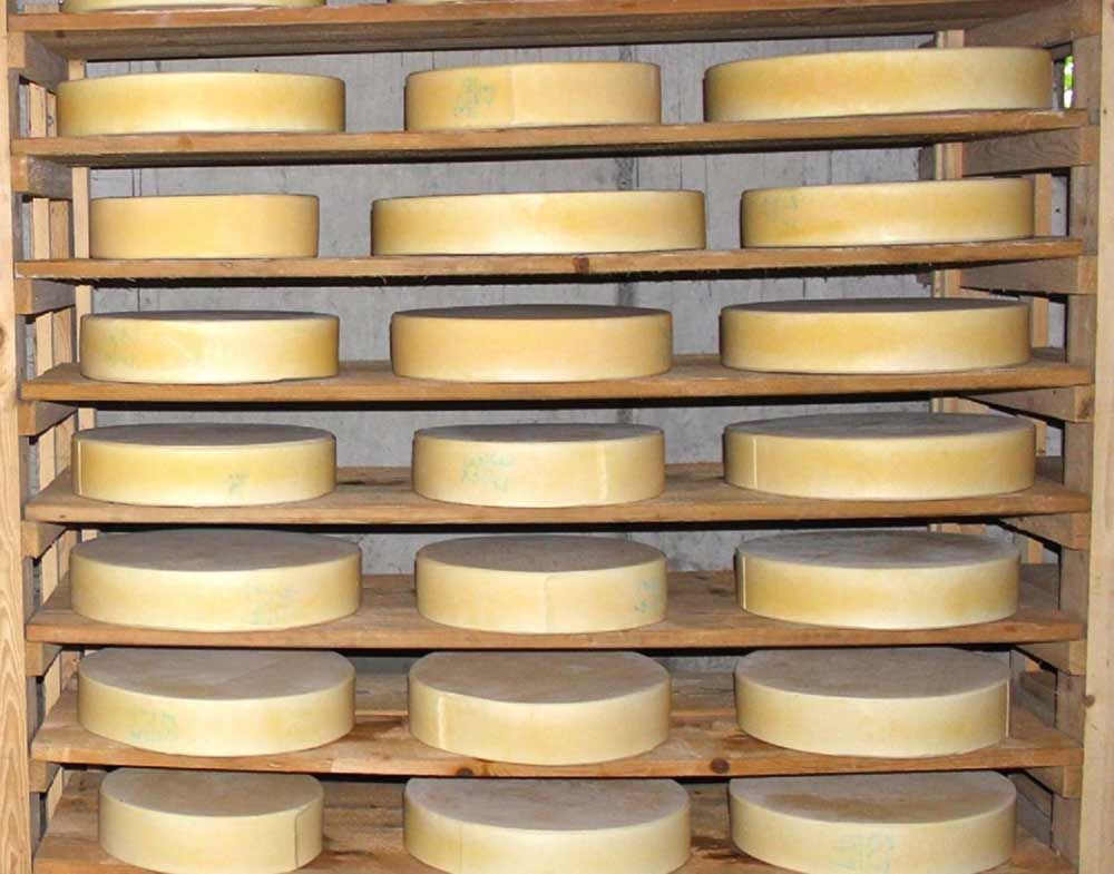 Heumilch-Käse - Alpenkäse in Schoppernau bestellen