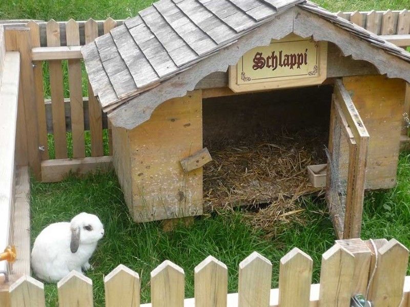 Streichelzoo auf dem Kinderbauernhof in Schoppernau